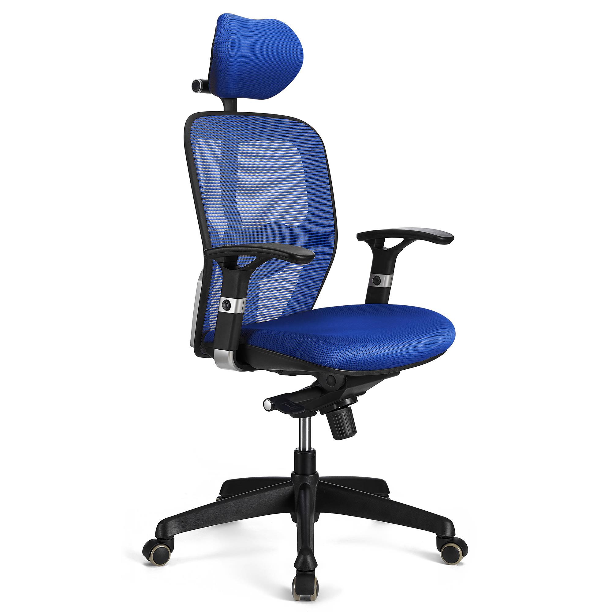 Cadeira Ergonómica FELIX PRO, Suporte Lombar Ajustável, Adequada uso 8h, Em Azul