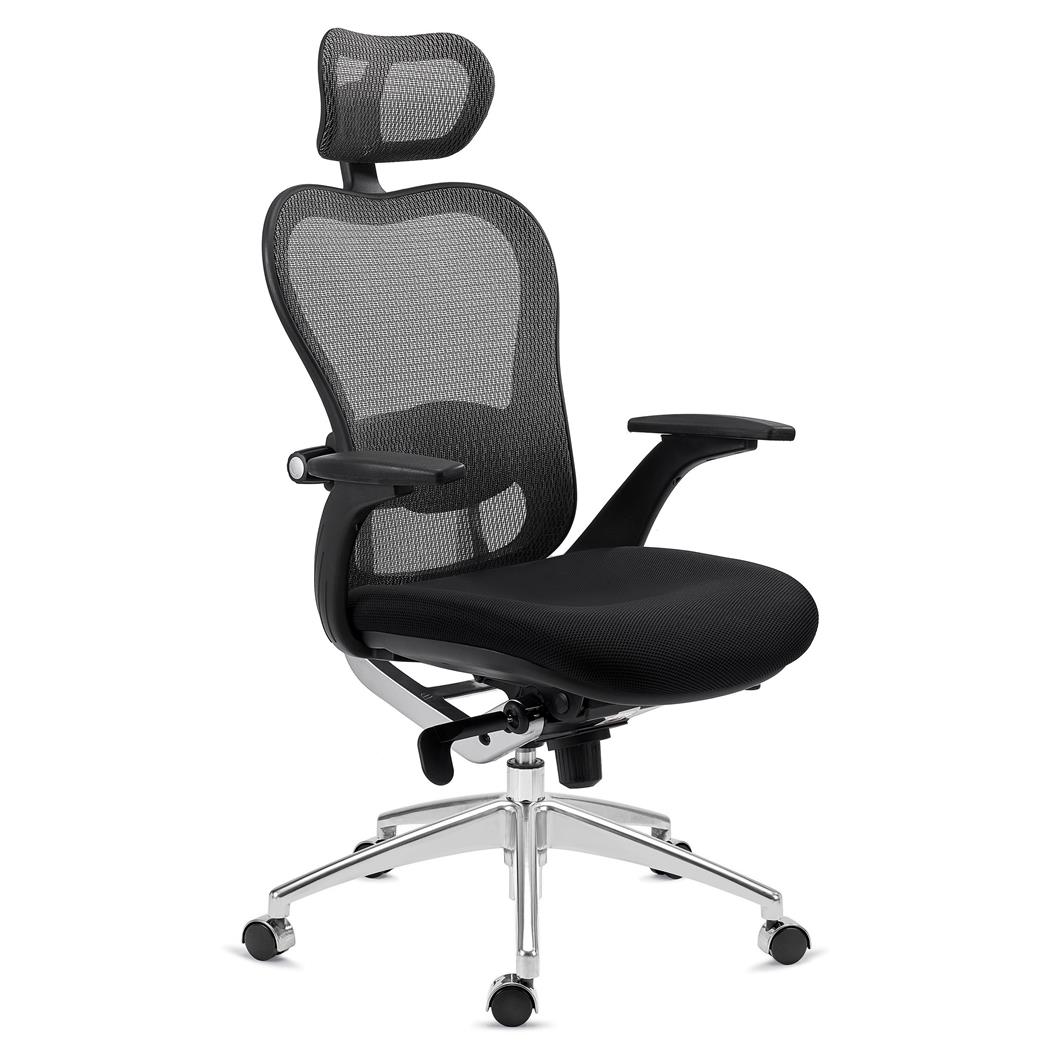 DEMO# Cadeira Ergonómica ROYAL, Uso 8H, Suporte Lombar Avançado, Design Moderno, Cinzento