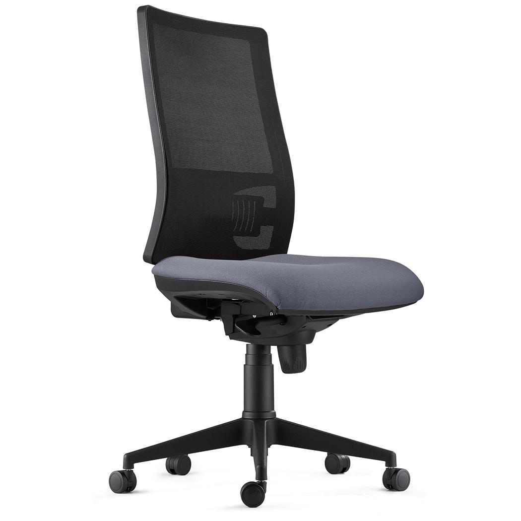 DEMO# Cadeira Ergonómica EMERSON, Sem Apoia Braços, Suporte Lombar Ajustável, Em Cinzento