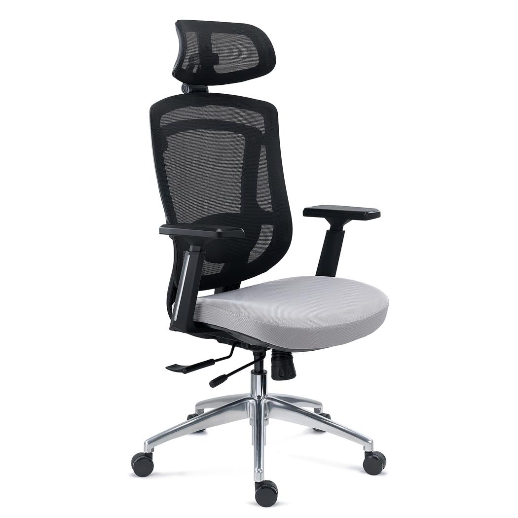 Cadeira Ergonómica ASTON, Suporte Lombar, Assento Deslizante com Espuma Injetada, em Cinzento