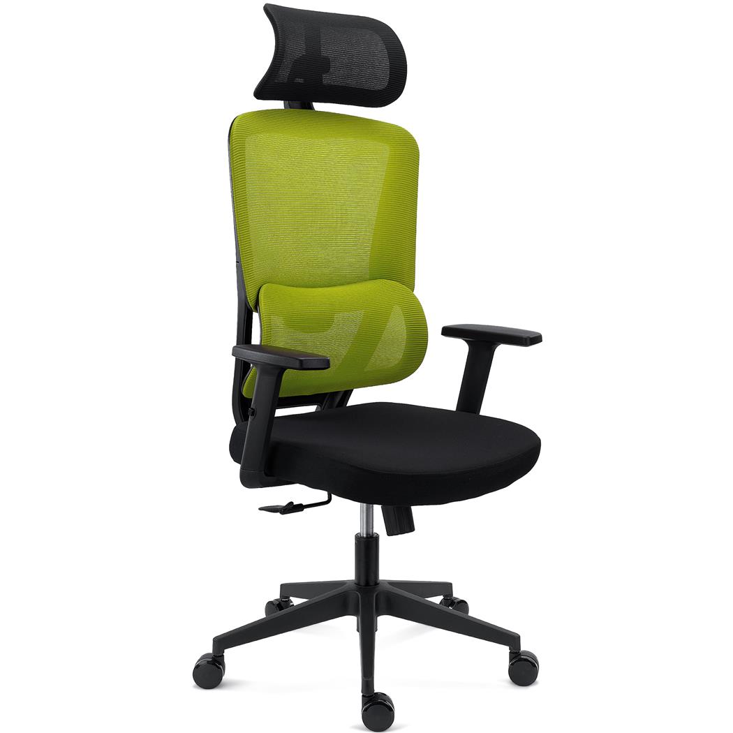 Cadeira Ergonómica SUPRA, Apoia Cabeças, Suporte Lombar, Uso 8h, em Tecido e Malha Respirável, em Verde