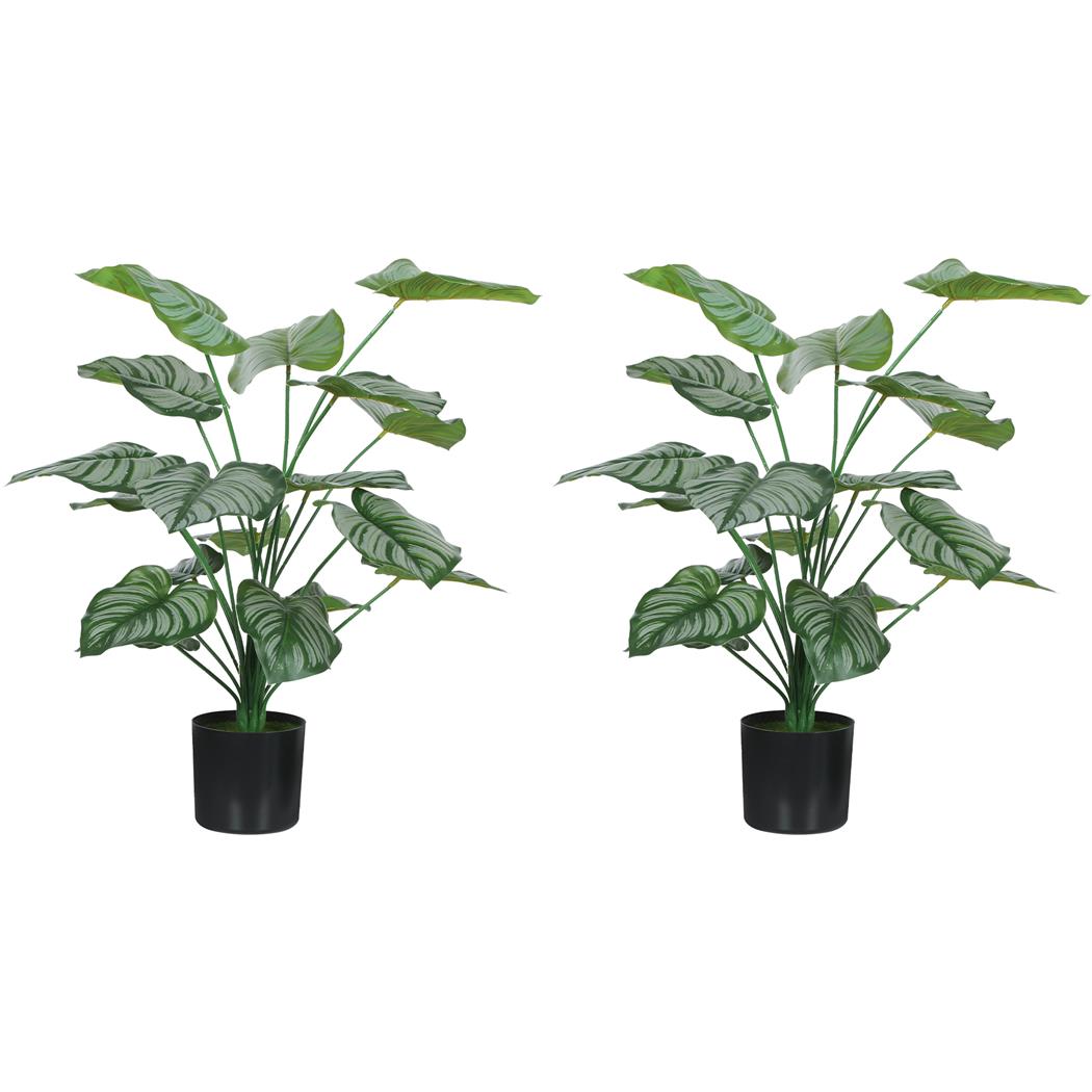 Conjunto de 2 Plantas de Escritório TAIGA, Plantas Pavão com 65 cm de Altura, Cor Verde
