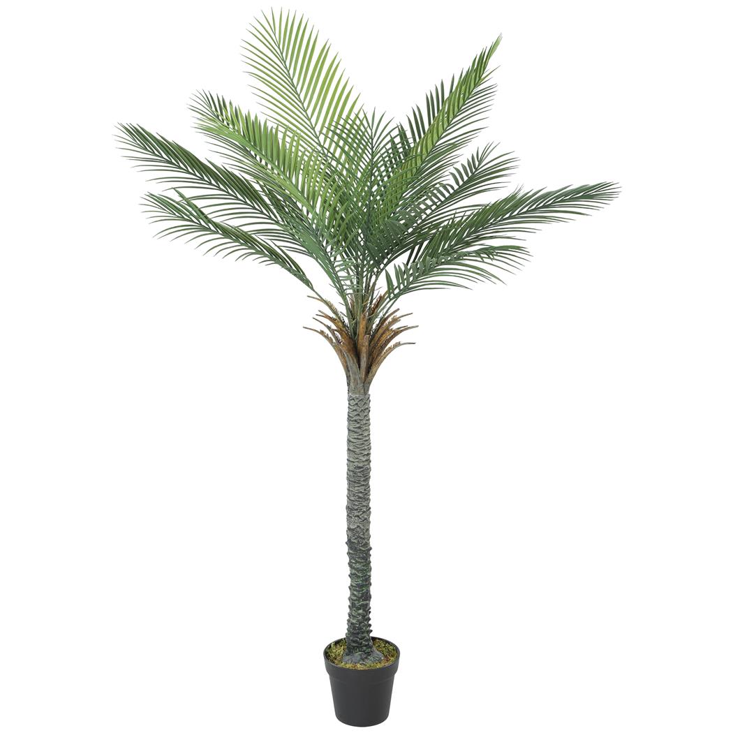 Planta de Escritório FLOE, Palmeira com 180 cm de Altura, 15 Folhas com Vaso, Cor Verde