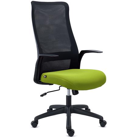 Cadeira de Escritório SIERRA, Assento Respirável, Suporte Lombar, Apoia Braços de Design, Em Verde