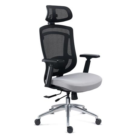 DEMO# Cadeira Ergonómica ASTON, Suporte Lombar, Assento Deslizante com Espuma Injetada, em Cinzento