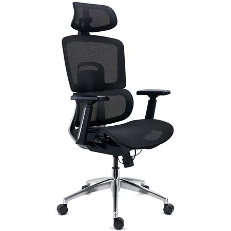 DEMO# Cadeira Ergonómica TITAN, Base e Estrutura em Alumínio, Ajustes Avançados, Uso Diário de 8H, em Preto