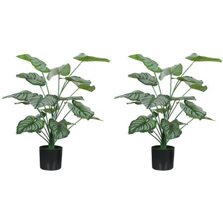 Conjunto de 2 Plantas de Escritório TAIGA, Plantas Pavão com 65 cm de Altura, Cor Verde