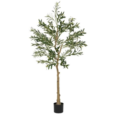 Planta de Escritório FOLI, Oliveira com 150 cm de Altura, Folhas e Azeitonas, Cor Verde