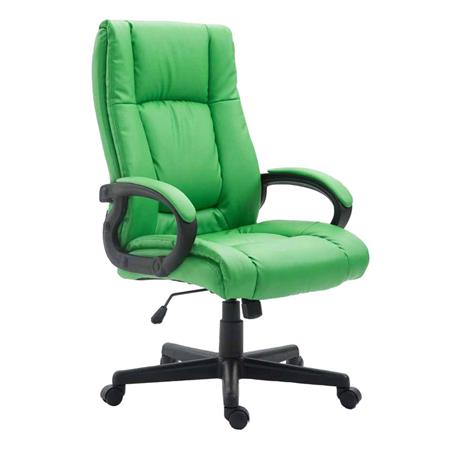 Poltrona de Escritório NINA PELE, Bom Acolchoado, Design Elegante, Em Cor Verde